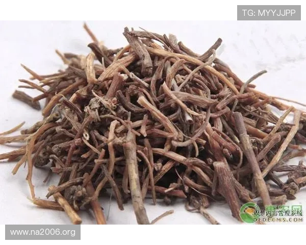 凯发旗舰厅注册平台注册账号成功后如何进行安全设置和账户管理